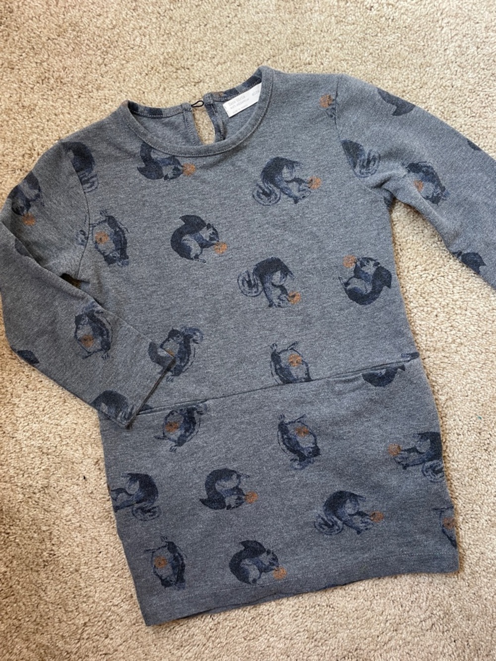 Blue-Grey Squirrel Sweatshirt Dress